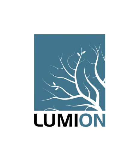 lumion 3d rendering software